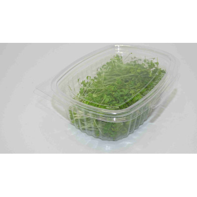 Brotes Girasol Mikagreens - 20grs - 50grs - Blister
