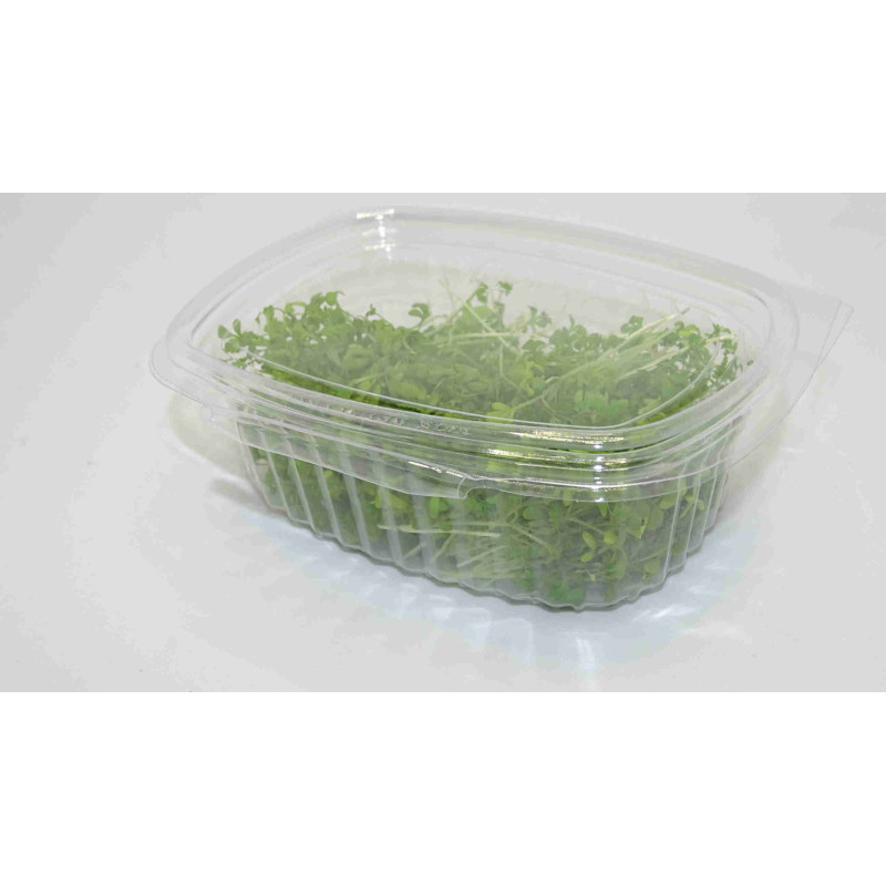 🌸 Microplanta Lenteja Rosa – Color Natural & Hierro Biodisponible en Blister