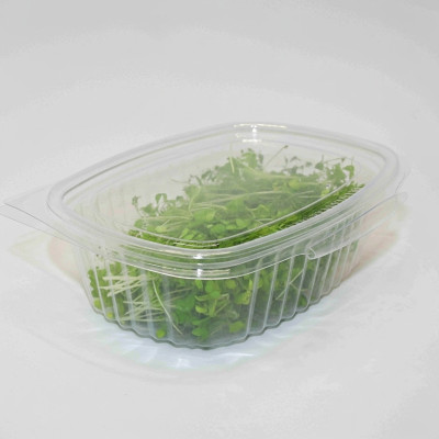 Pack Descubrimiento Mikagreens – Microvegetales frescos