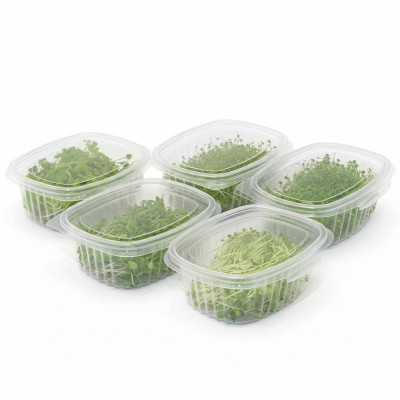 Pack Descubrimiento Mikagreens – Microvegetales frescos