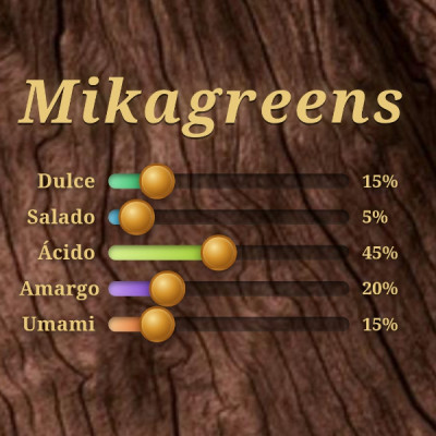 Microgreens de Rábano Rojo “Rambo” en Maceta – Brotes Tiernos, Microvegetal Vivo, Planta Premium | Mikagreens