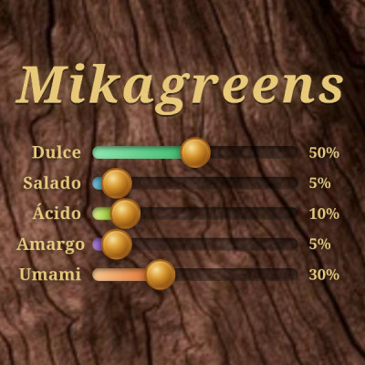 Microgreens de Frijol Mungo – Microvegetal Fresco y Crujiente en Maceta Viva | Mikagreens