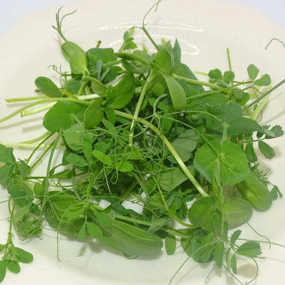 Micromezclum Dulce Natural Mikagreens – Mix de Microgreens, Microvegetales y Brotes Tiernos Suaves y Crujientes