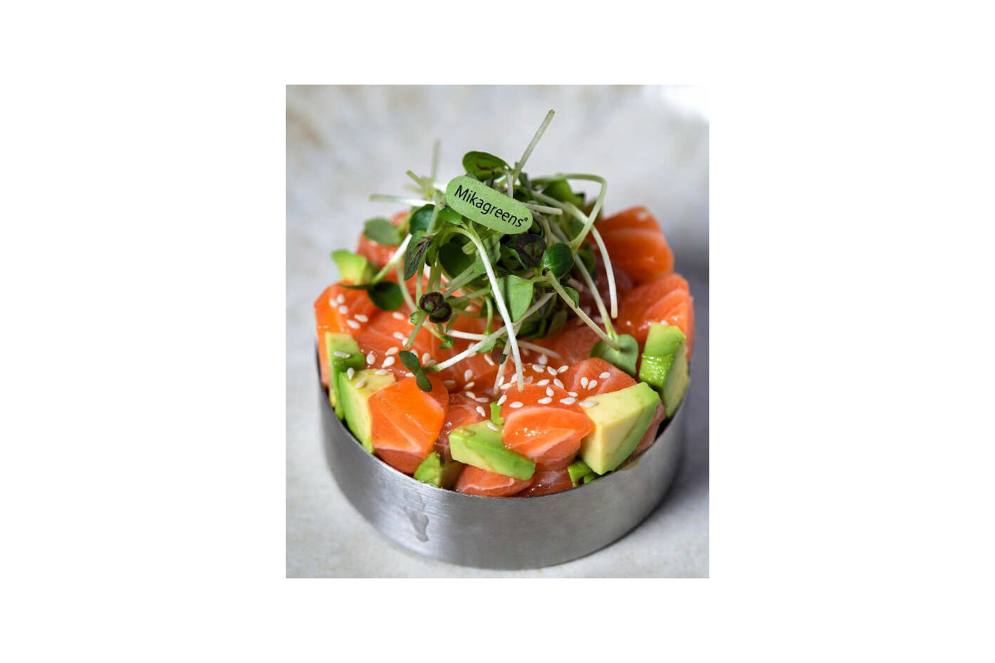 Tartar moderno de salmón con aguacate y microgreens Mikagreens de rúcula rocket