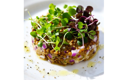 Tartar templado de lentejas con microgreens Mikagreens de rúcula rocket y microgreens Mikagreens de melisa limón