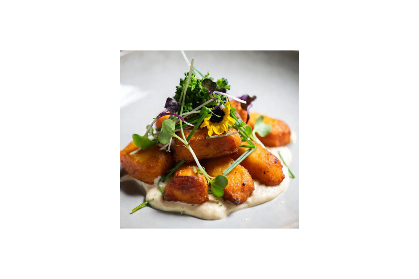 Gnocchis crujientes de boniato con crema de parmesano ligero y microgreens Mikagreens de brócoli, girasol y cebollino chino ajo